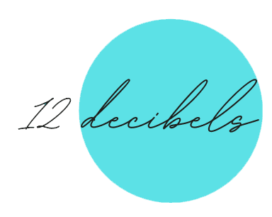 12 Decibels logo — client of Brevia Tech Solutions — digital agency in Chennai, Tamil Nadu, India