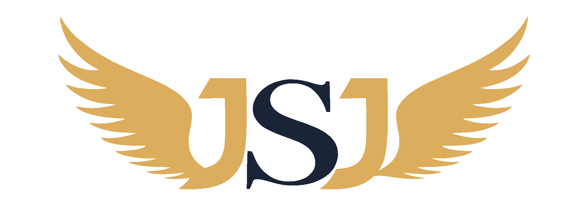 JSJ World logo — client of Brevia Tech Solutions — digital agency in Chennai, Tamil Nadu, India